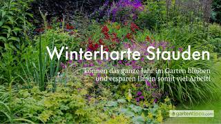 15 winterharte Stauden  inklusive Pflanz und Pflegetipps [upl. by Boulanger697]