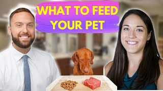 Veterinary Nutritionist Explains Raw Dog Food Diet and Much More [upl. by Epp]