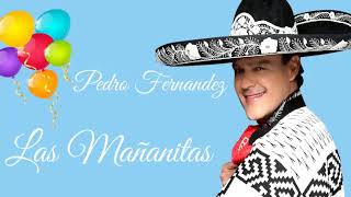 🎉 PEDRO FERNANDEZ 🎁 LAS MAÑANITAS PARA CUMPLIAÑERITOS [upl. by Saito]