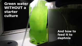 Green Water WITHOUT a Starter Culture  From Scratch  How To [upl. by Leeth652]