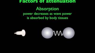 Ultrasound Physics Attenuation [upl. by Chadburn]