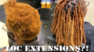 Loc Extension Tutorial Crochet Method [upl. by Enneite]