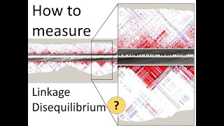 How to measure Linkage disequilibrium LD  Genomics [upl. by Ennoitna712]