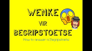 Begripstoets  How to answer a Begripstoets  Afrikaans FAL [upl. by Chrotoem739]