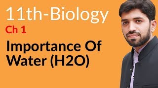 FSc Biology Book 1 Ch 2  Importance of Water H2O  11th Class Biology [upl. by Ahtiekal]