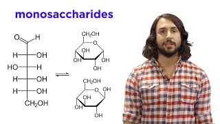 Carbohydrates Part 1 Simple Sugars and Fischer Projections [upl. by Oznohpla423]