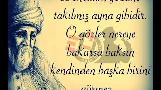 Mevlana Sözleri 🌹 Dinleyin İlaç Gibi Gelecek 🌹 Suskunluğum asaletimdendir mevlana [upl. by Joly]