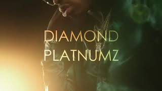 Diamond Platnumz ft Omarion African Beauty Official Video [upl. by Netsirt323]