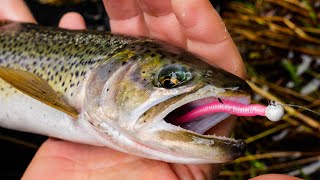 How To Fish MICRO Worms For TROUT In Creeks Rivers amp Streams [upl. by Culley843]